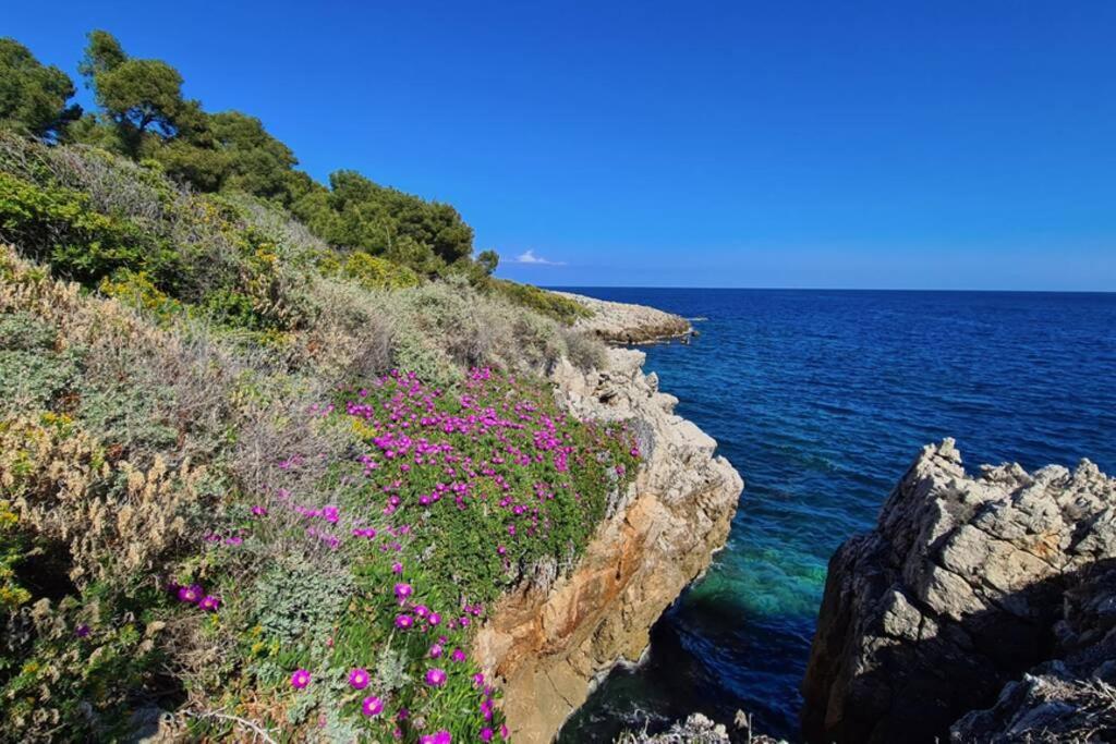 Casalionelantibes 70 Sqm Apartment With Garden And Parking Exterior foto