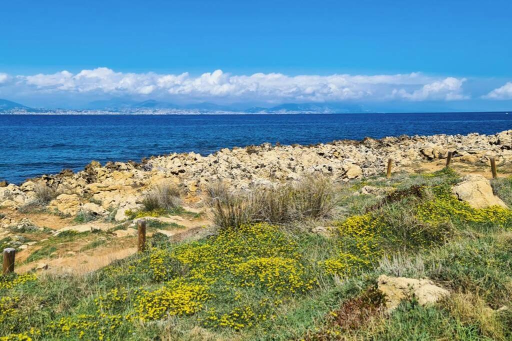 Casalionelantibes 70 Sqm Apartment With Garden And Parking Exterior foto